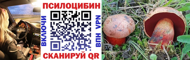 Псилоцибиновые грибы Psilocybe  Зуевка 