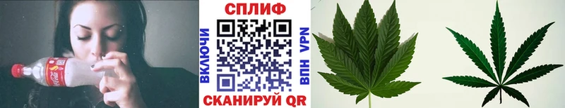 Конопля план Зуевка